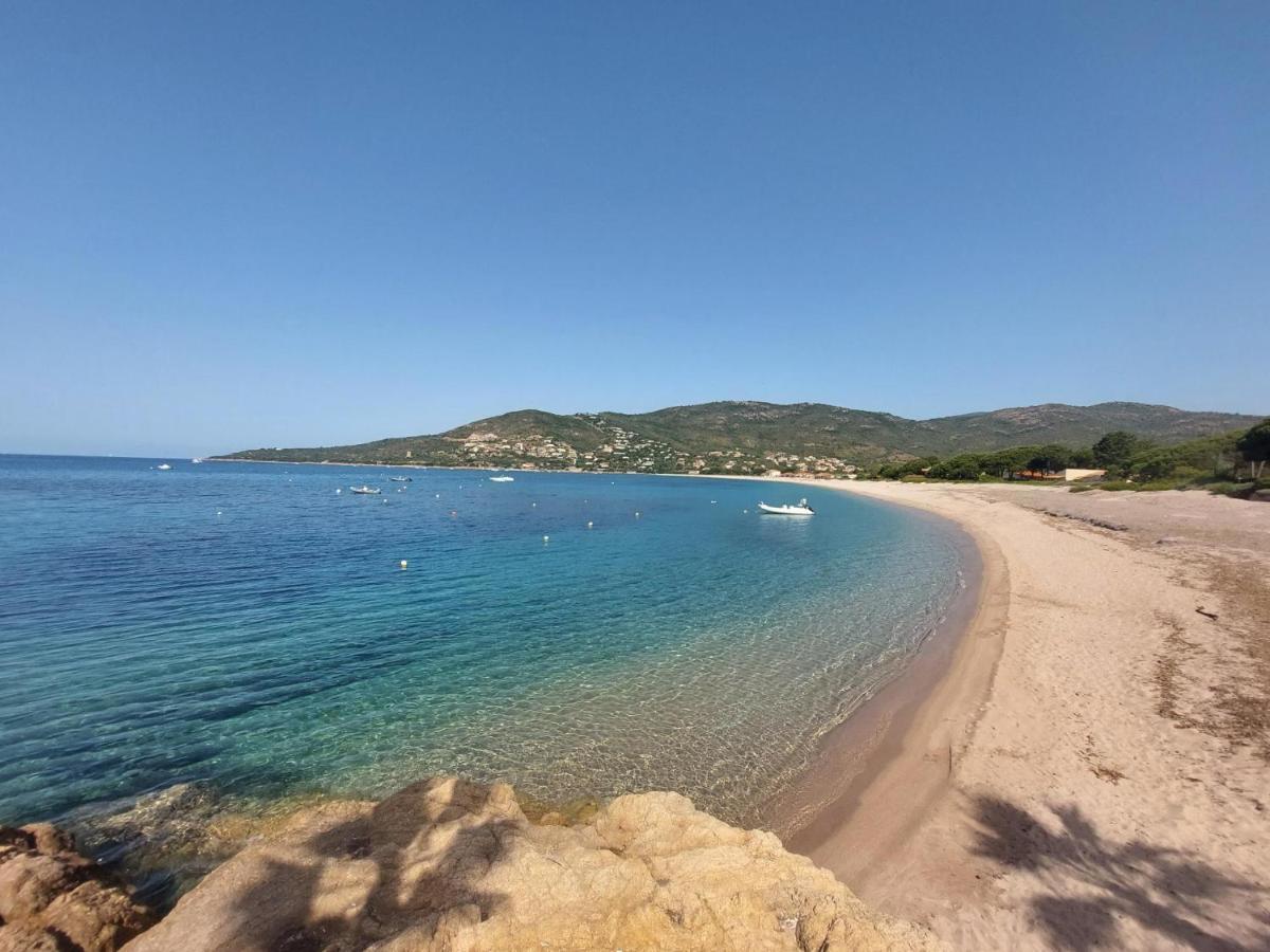 Nouvel Location D'Un Bel Appart T2 Climatise Et Meuble Au Rdch Avec Piscine Dans Residence Les Melody Санта-Мария-Погжио Экстерьер фото